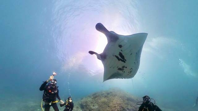 Lembongan Dive Center