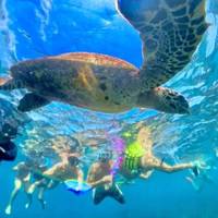 Sri Lanka Diving Tours, Negombo, PADI 5 Star IDC Center