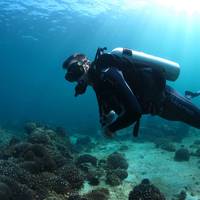 Sheesa Beach Dive Centre
