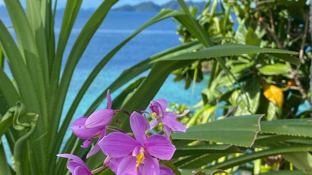 Misool Resort