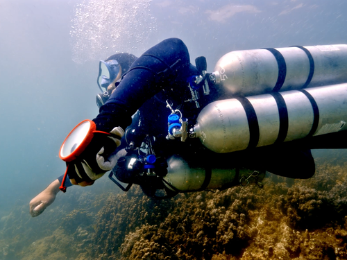 DiveCampus Diving Club