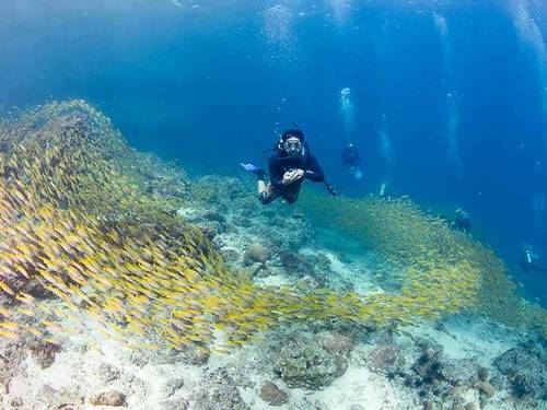 The Adventure Club - Scuba Diving Phi Phi Island