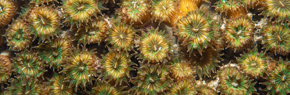 Girandella Diving Centre