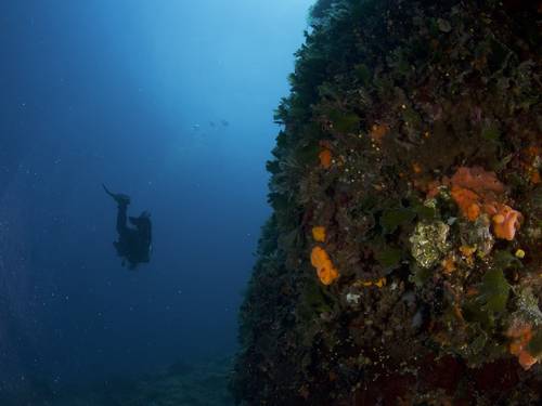 Aqualis Dive Center