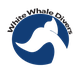 White Whale Divers | Scuba Diving Center in Hurghada
