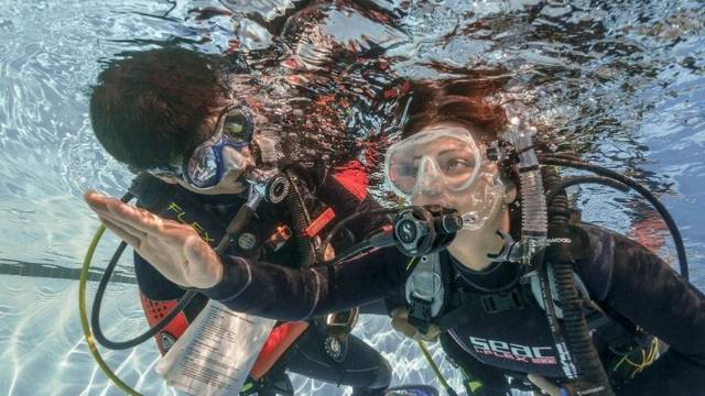 Dive Pro Group