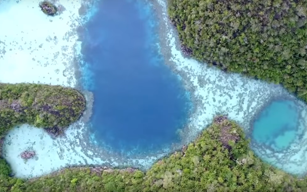 Aerial view of a tropical reef